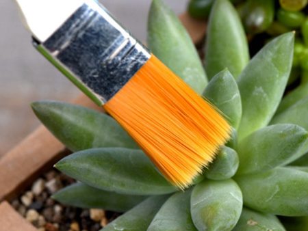 2 PCS Horticultural Plant Brushes Debris Brush Dust Brushes Multi-meat Plant Brushes Micro-landscape Moss Household Small Brush Tools Sale