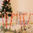 10 in 1 Christmas Cane Lights Holiday Indoor Garden Decoration Lights(EU Plug) Discount