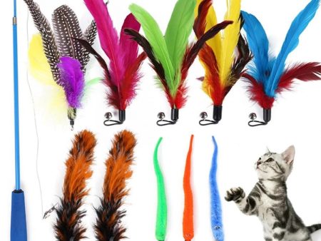 11 in 1 Feather Replacement Head Retractable Cat Teaser Stick Online Sale