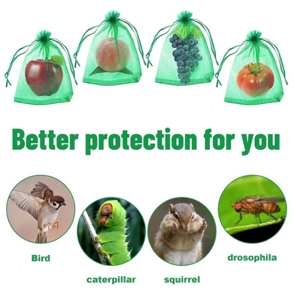 100pcs  Pack  Fruit Protection Bag Anti-Insect And Anti-Bird Net Bag 20 x 30cm(Dark Green) Hot on Sale