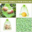 100pcs  Pack  Fruit Protection Bag Anti-Insect And Anti-Bird Net Bag 15 x 20cm(Dark Green) Online Sale