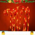 10 in 1 Christmas Cane Lights Holiday Indoor Garden Decoration Lights(US Plug) Cheap